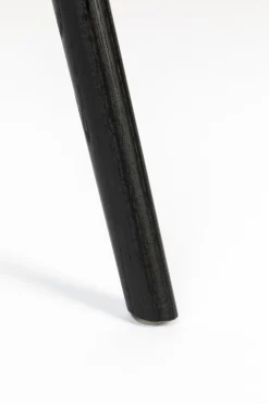 Albert Kuip (set van 2) Eetkamerstoel