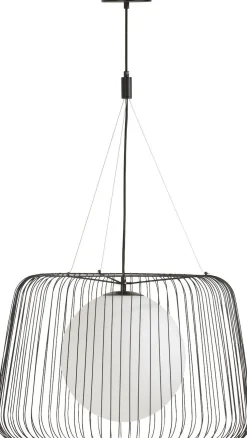 Ally Hanglamp