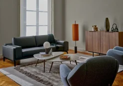 Anton Fauteuil
