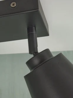 Bremen 2 spots Plafondlamp