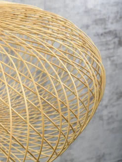 Cango Plafondlamp