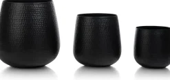 Coins Potten