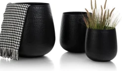 Coins Potten