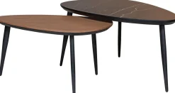 Dani Salontafelset