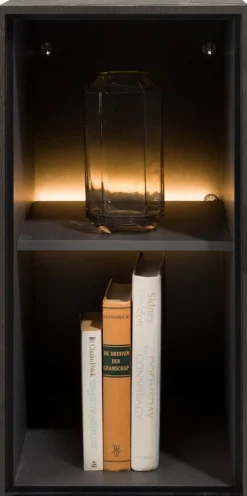 Elements 2 Niches Kast