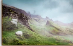 Highlands Wanddecoratie