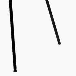 Lynn Armstoel