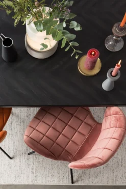 OMG velvet (set van 2) Eetkamerstoel