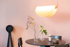 Rani Hanglamp