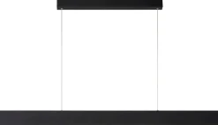 Raya Zwart Hanglamp