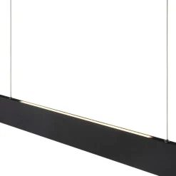 Raya Zwart Hanglamp