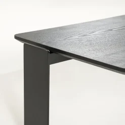 Robert Salontafel