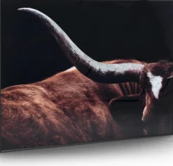 Rodeo Schilderij