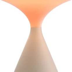 Salt Tafellamp