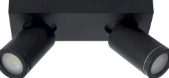 Taylor Plafondlamp