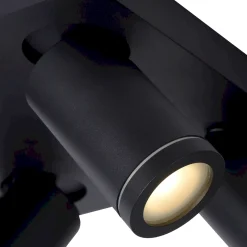 Taylor Plafondlamp